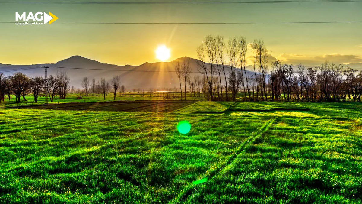 رهایی از قمار